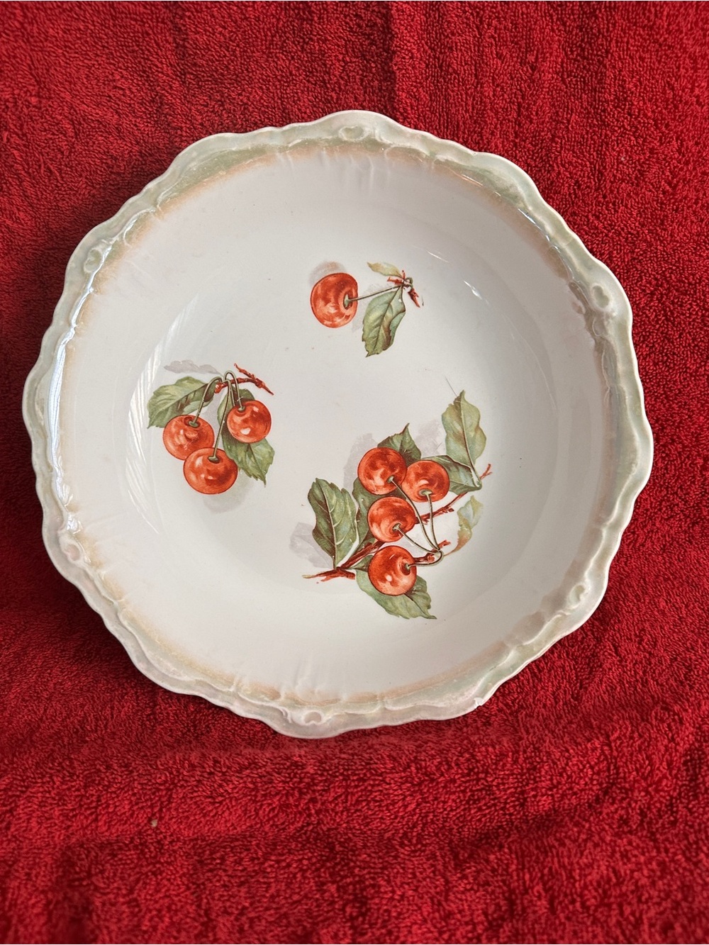 Decorative Cherry Motif Dinnerware Bowl - Red/Green